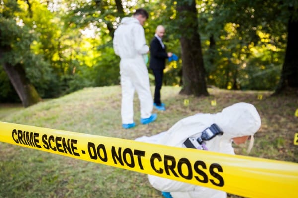 A crime scene investigation team works in the woods.