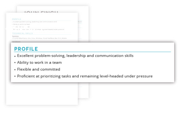 How to Write a Professional IT Resume With Examples
